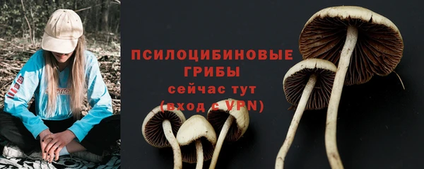 крисы Дмитриев