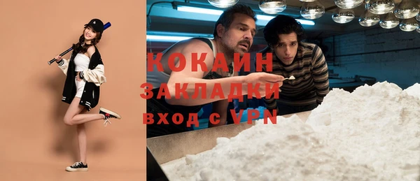крисы Дмитриев