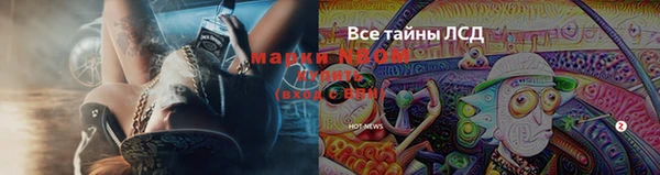 крисы Дмитриев