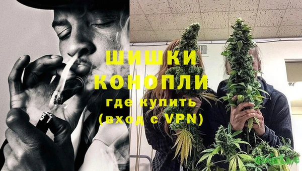 spice Дмитров