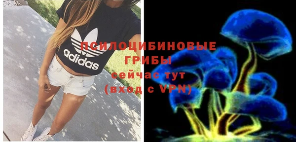 кокс Елизово