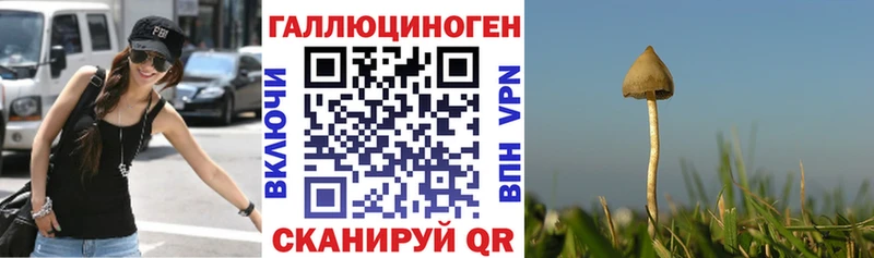 Купить где  Катав-Ивановск  Псилоцибиновые грибы прущие грибы 